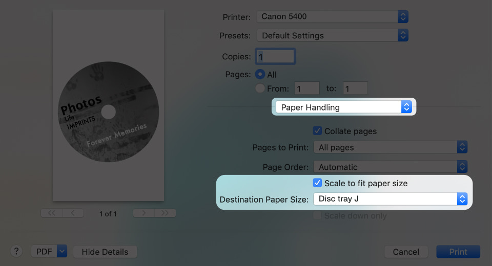 Direct to disc printing setup